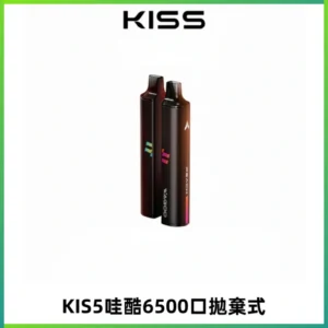 KIS5WAGOO哇酷6500口拋棄式 | 自由混搭雙口味 | 雙芯組合