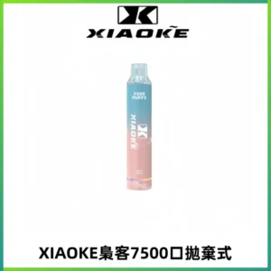 XIAOKE梟客7500Puffs跑馬燈拋棄式電子煙 可發光一次性